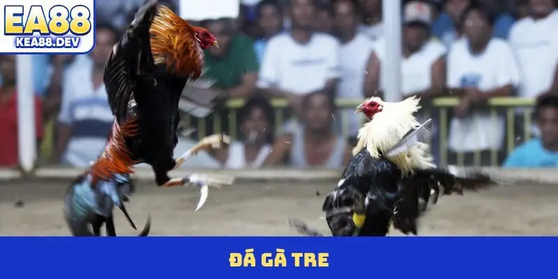 Đá Gà Tre
