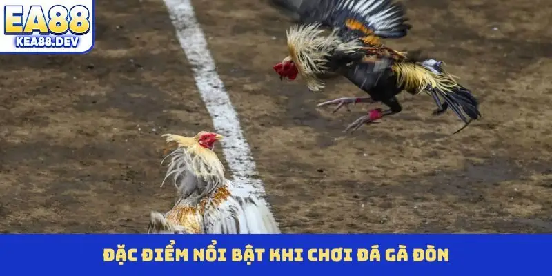 Đặc điểm nổi bật khi chơi đá gà đòn