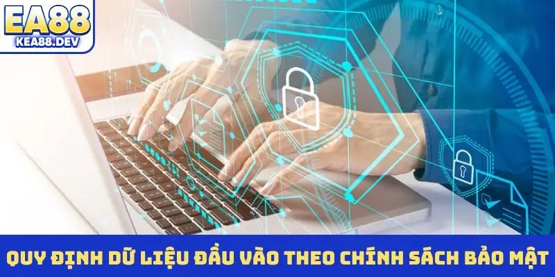 Quy định dữ liệu đầu vào theo chính sách bảo mật